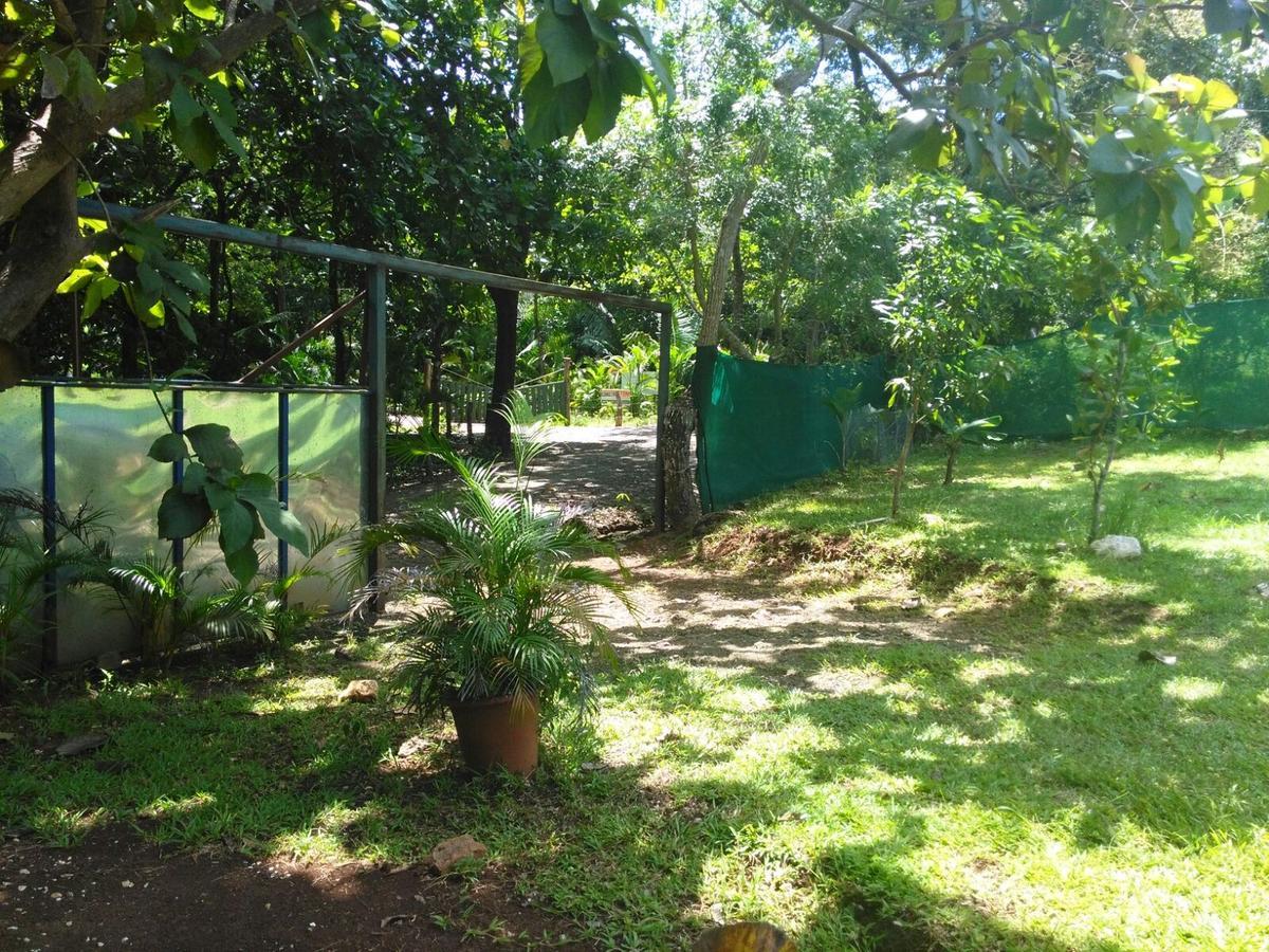 Cabinas Jojola Hotel Guanacaste Exterior foto